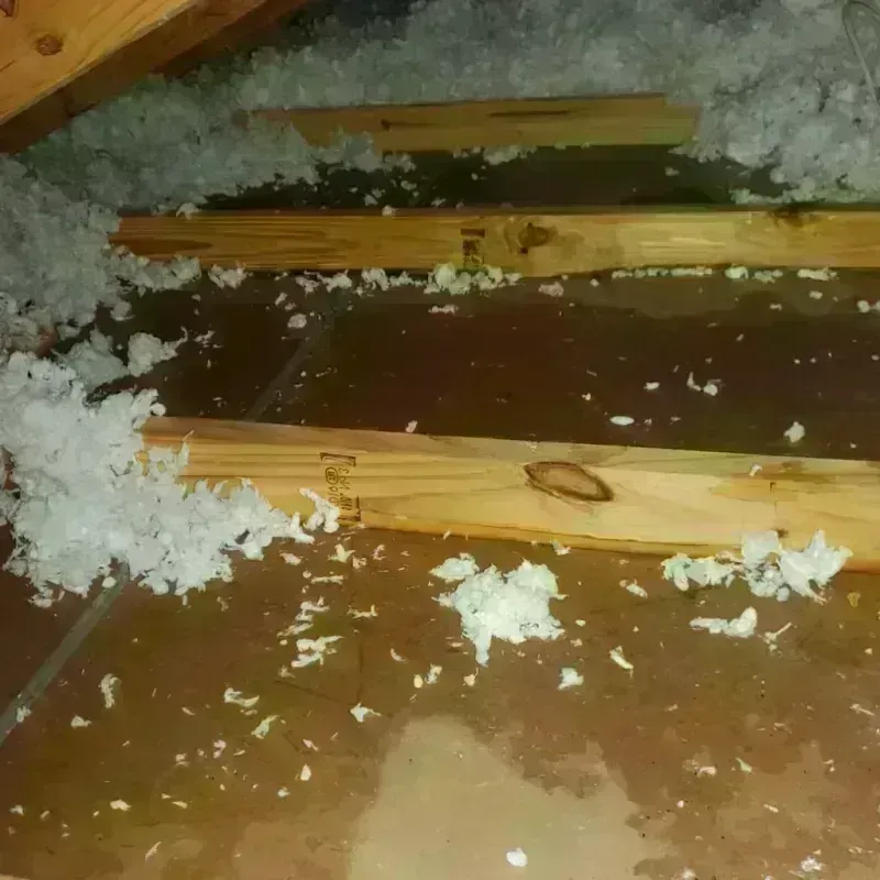 Attic Water Damage in Marion, AR