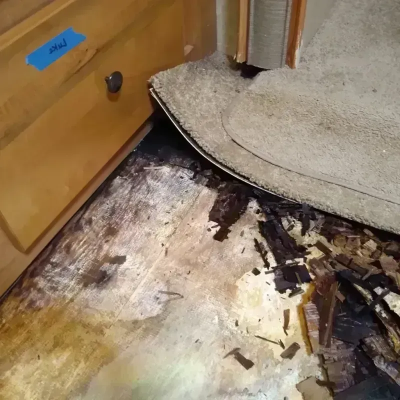 Wood Floor Water Damage in Marion, AR